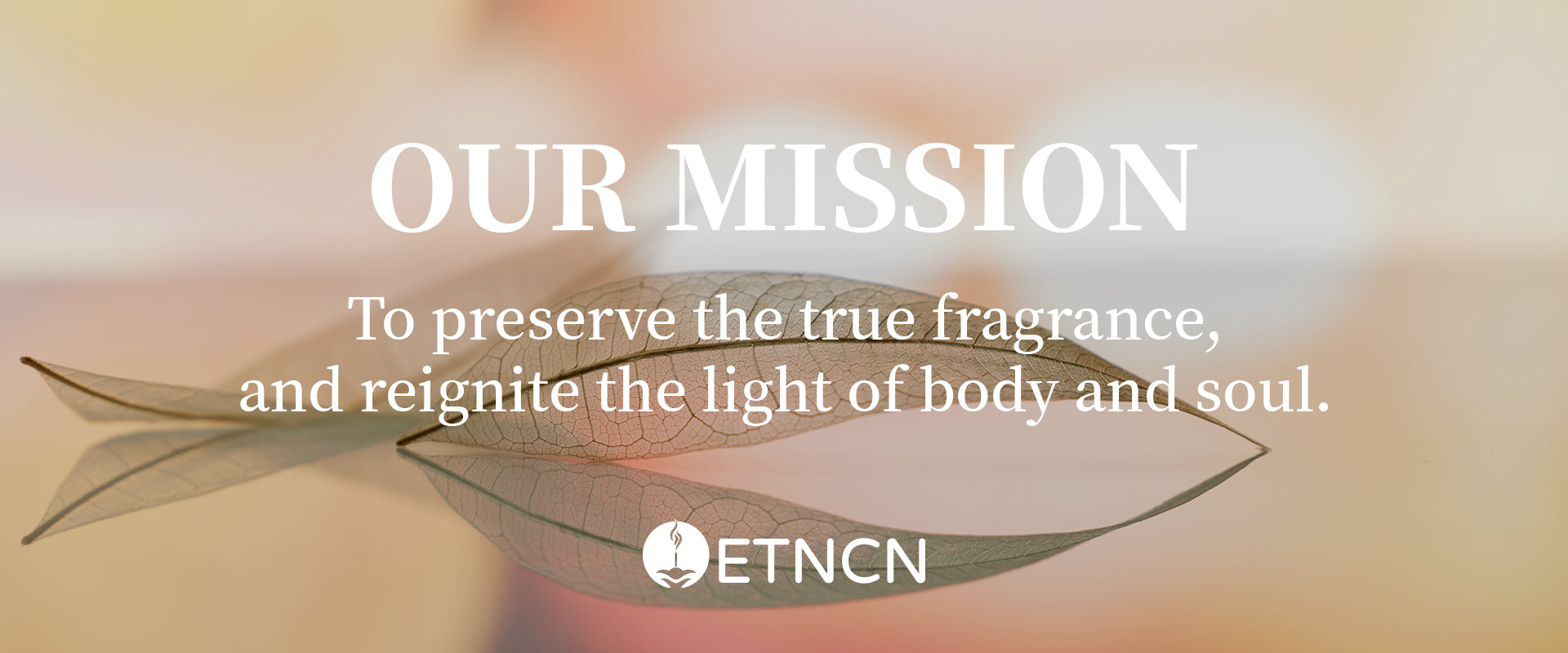 our mission
